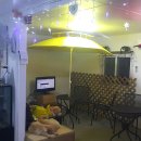 설악애견 이미지