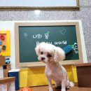 에이치에스교육