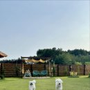 게으른오후 이미지