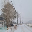 장산로1 이미지