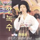 장녹수 / 전미경 (1995 KBS-TV [장녹수] 주제가) 이미지