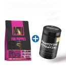 마냐나코리아 이미지