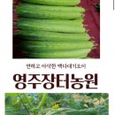 영주양품 네이버블로그