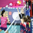 흥국생명 이미지