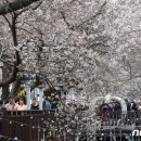 진해구 ⓒ-24 이미지