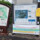 남파랑 37코스(창선파출소~적량버스정류장), 남파랑 38코스(적량버스정류장~지족리하나로마트)-비오는...