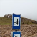 이스트카 이미지