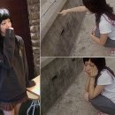 해움성 Daum카페