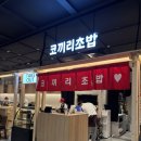 대흥동 KT 지사 앞 | [광화문역 맛집] 광화문역 점심 맛집 KT빌딩 코끼리 초밥 B세트 후기