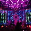 호박 관광나이트 이미지