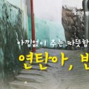 조은연탄 네이버블로그