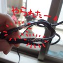 잉꼬농원 이미지