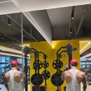 MUT GYM 이미지