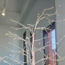 굳앤구디(Good&Goody) 이미지