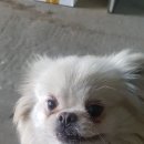 2함대길 이미지