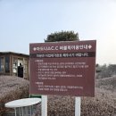 노컨트롤 | 아도니스 퍼블릭 ｜ 2인플레이 가능한 노캐디 라운딩 후기
