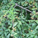 일반농장 이미지