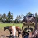 재연목장 이미지