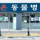 포레스트동물의료센터 이미지