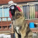 토실이네 이미지