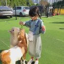 하이애니멀샵 이미지