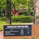 신흥사 | 속초 가볼만한곳 신흥사 흔들바위 아이랑 스탬프투어 주차 꿀팁 후기