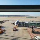 1107 | 제주항공 탑승 후기 7C1107/7C1102 인천-도쿄 나리타공항 터미널/일본 도쿄 왕복 비행기