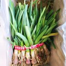 혜은농장 이미지