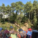 숲속공원놀이터 이미지