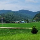 (주)평화산소 이미지