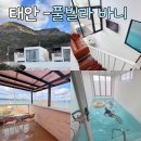 풀빌라 바니 | [충남 태안여행] 오션뷰 온수풀 독채 풀빌라 추천 및 솔직후기 <태안 풀빌라 바니>