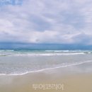 다낭 투어코리아