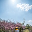 침산문화회관 이미지