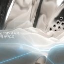 워시25 이미지