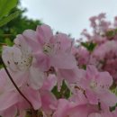 백무동주차장 이미지