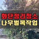 라온 | 빌라 공동주택 화단 정리 나무 벌목작업 청소 완료!