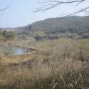 진양호삼거리 이미지