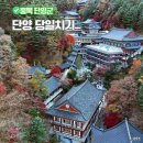 단양-단양-05 | 단양 당일치기 코스 가을 단풍 만천하 구인사 도담삼봉 아너드
