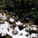 선포약수터 이미지