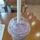 황학산 | 수국이 반겨주는 여름 산책길, 경기도 여주 황학산수목원 후기