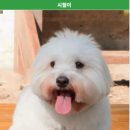 와;와