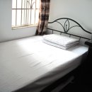 디앤시코리아 이미지