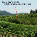 여주-0724 네이버블로그