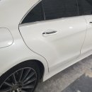 덴트베스트칼라