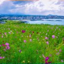 서강목장 이미지