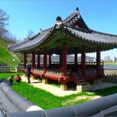 공산성 Daum카페