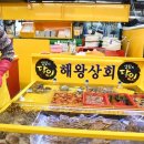 해왕수족관 네이버블로그