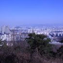 부모산성 Daum카페
