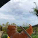 별빛캠프 이미지