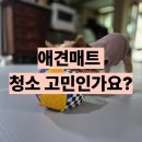 우다다 | 티지오매트 강아지 내돈내산 후기 우다다 롤매트 로봇청소기 어때?